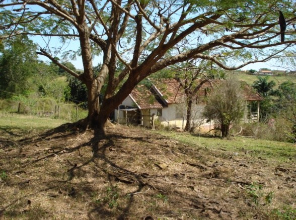 Só Pra  - Prefeitura Municipal de São Francisco de Itabapoana